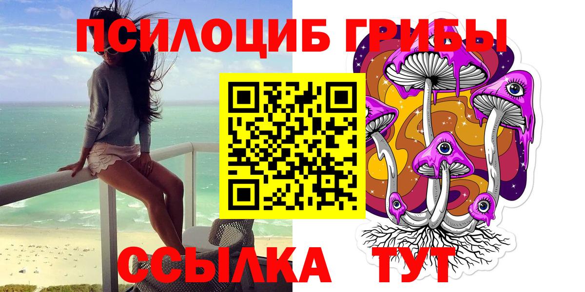 Псилоцибиновые грибы MAGIC MUSHROOMS  Вход с VPN  как найти   Камень-на-Оби 